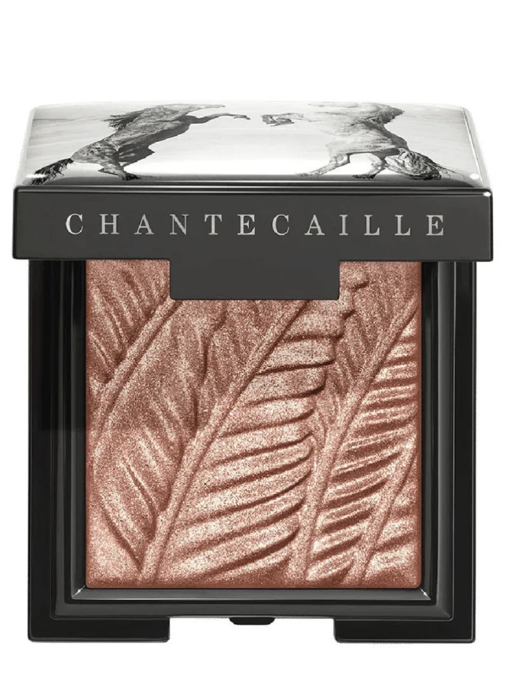 Chantecaille Luminescent Eye Shadow
- Horse